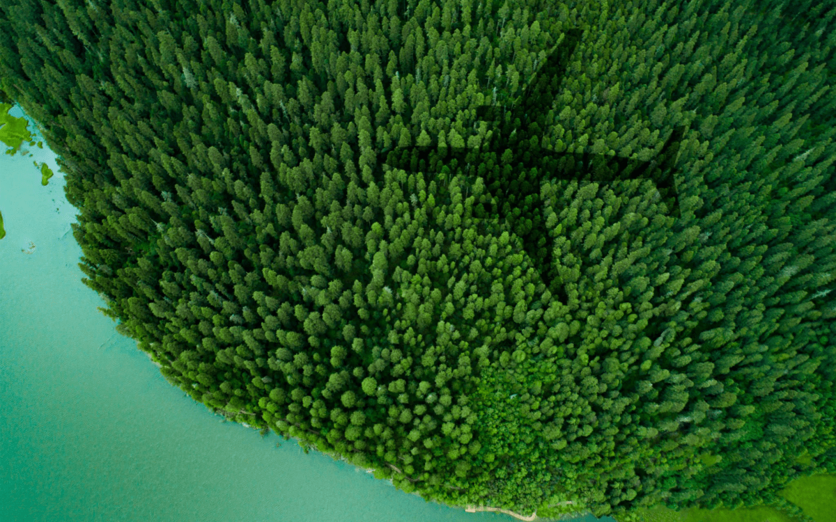 Voluptas sint aut la